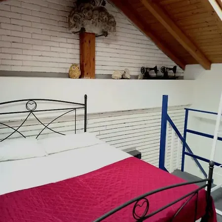 Loft House Guest house