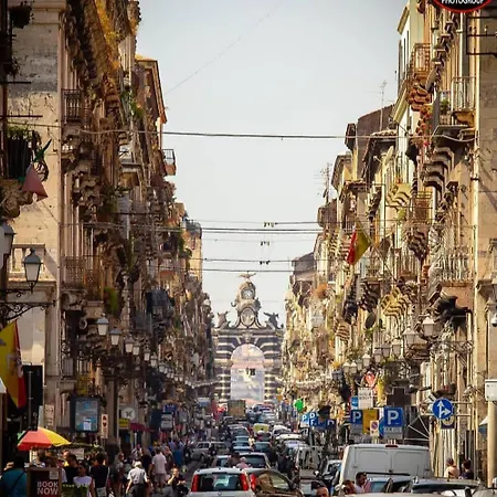 Loft House Guest house