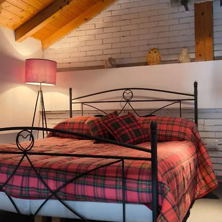 Loft House Affittacamere 4*
